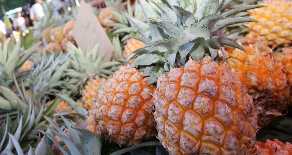 Ananas Victoria Réunion