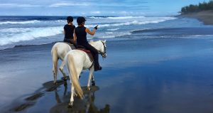 Balade à cheval sur la plage