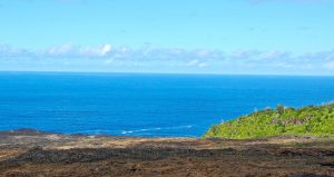 Plage du Sud sauvage