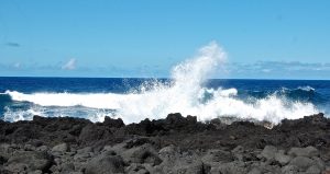 Côte du Sud sauvage Réunion