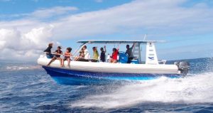 Balade en bateau Ouest Réunion