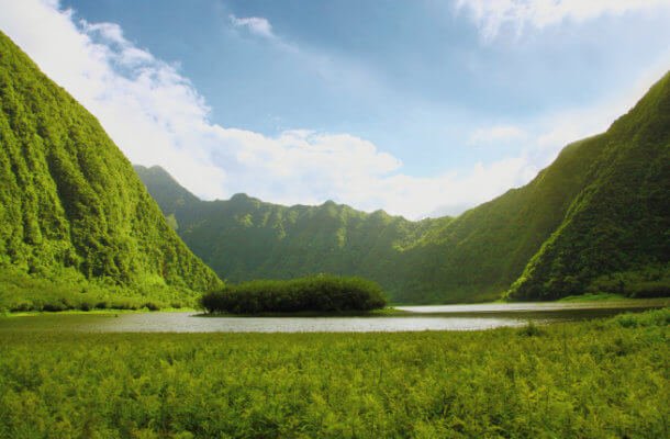 Hégergements des plaines de la Réunion. Crédits photos : IRT - Emmanuel Virin