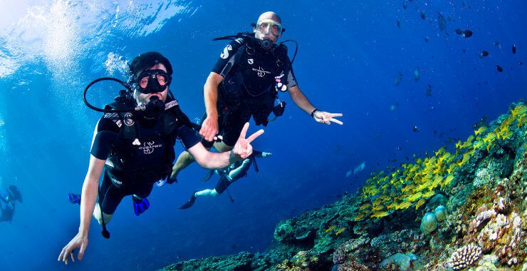 La passion de Mille Tours réceptif